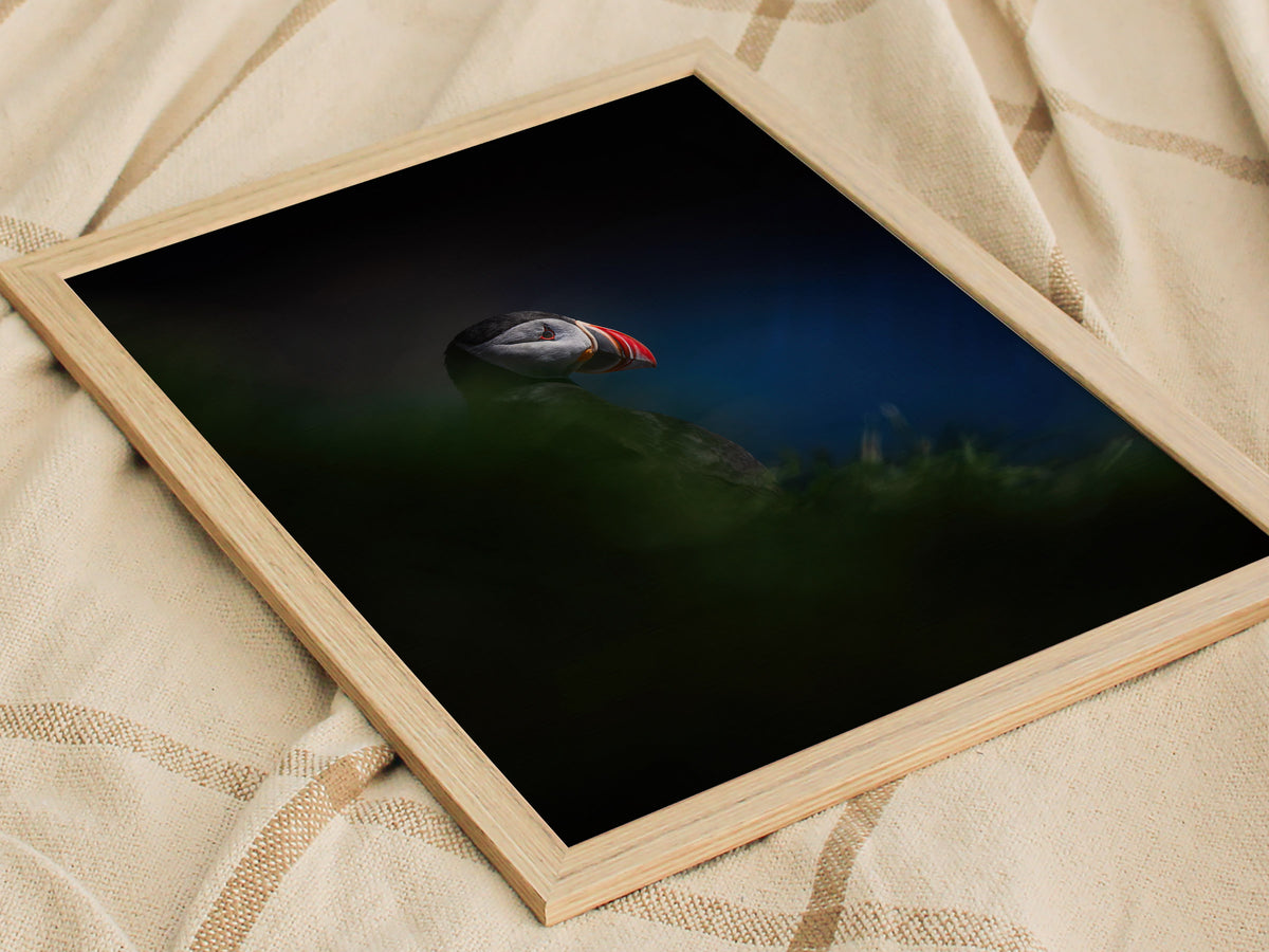 Puffin Poster | Artistic Art Print — styled in an interior