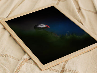 Puffin Poster | Artistic Art Print — styled in an interior