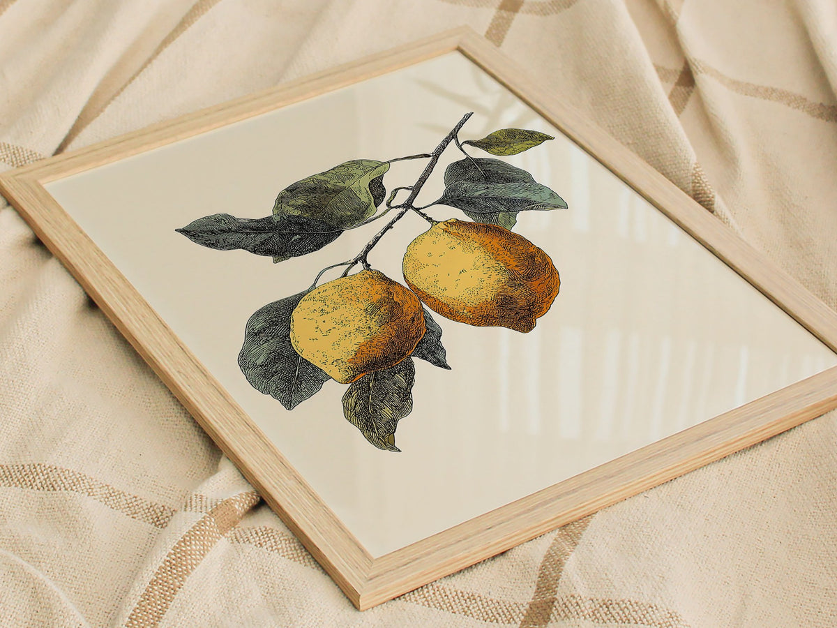 Lemons 01 Poster | Floral and Plants Art Print — styled in an interior