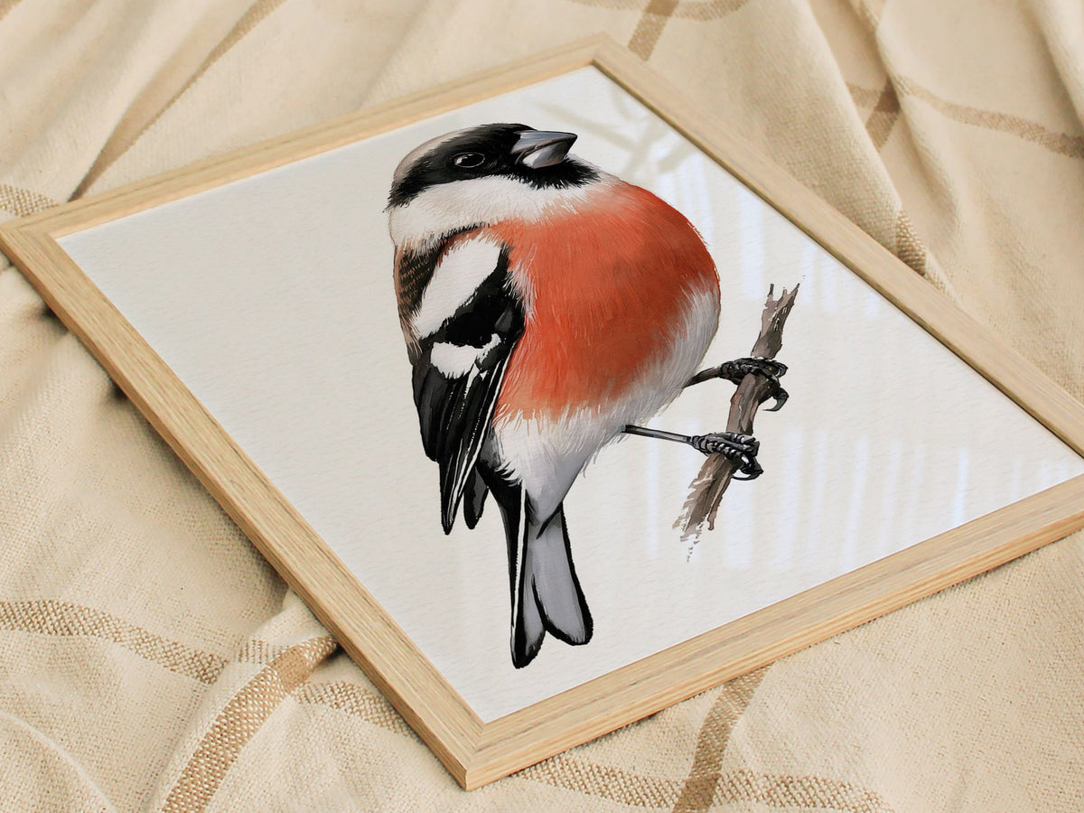 Bullfinch Owns Branch Poster | Orange and Black Watercolor Art Print | Naturalist Wall Art — styled in an interior