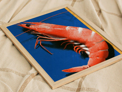prawn-on-blue Poster | Blue and Orange Screen Print Art Print | Kitchen Wall Art — styled in an interior